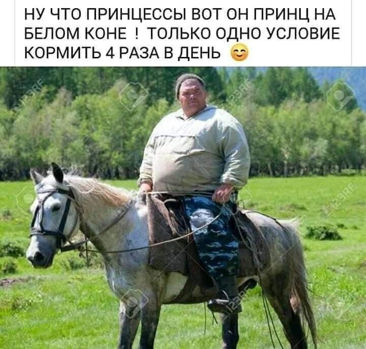 ну что принцессы вот он принц на белом коне ! только одно условие кормить 4 раза в день