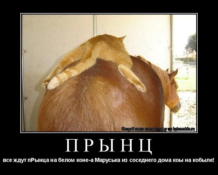 ПРЫНЦ
всё ждут принца на белом коне — а Маруся из соседнего дома кобыла