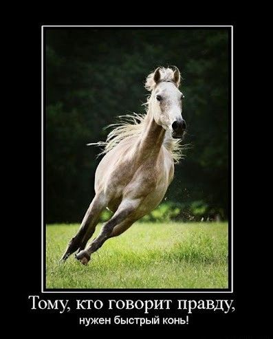Тому, кто говорит правду. нужен быстрый конь!
