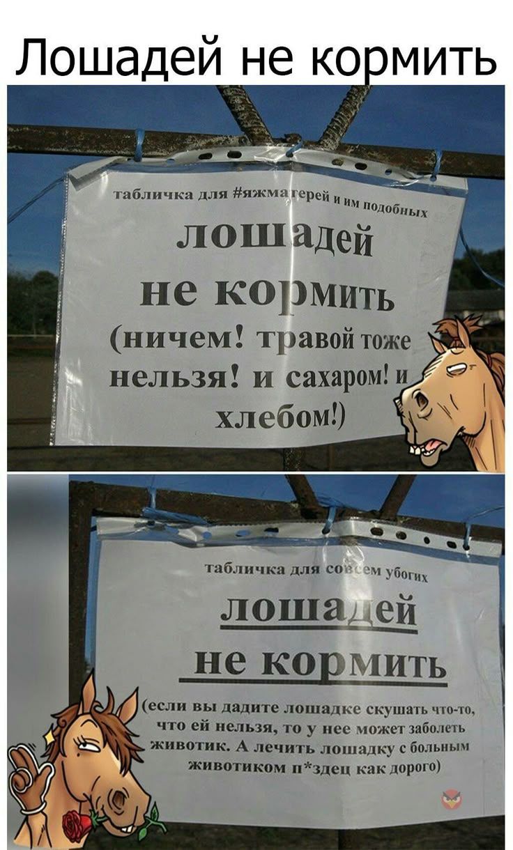 Лошадей не кормить (ничем! травой тоже нельзя! и сахаром! и хлебом!)\nесли вы дадите лошадке съесть что-то, что ей нельзя, то у неё может заболеть животик. А лечить лошадку с болезненным животиком — слишком дорого.