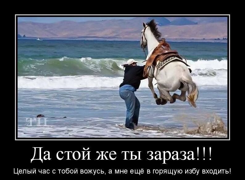 Да стой же ты зараза!!! Целый час с тобой возюсь, а мне ещё в горячую избу входить!