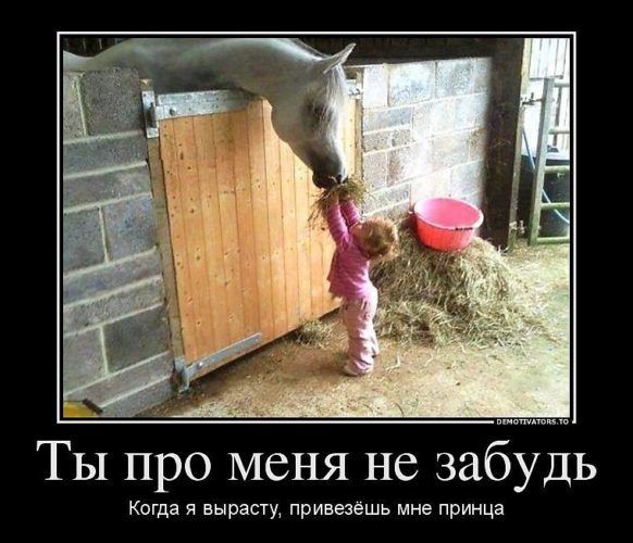 Ты про меня не забудь Когда я вырасту, привезёшь мне принца