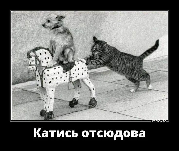 Катись отсюда