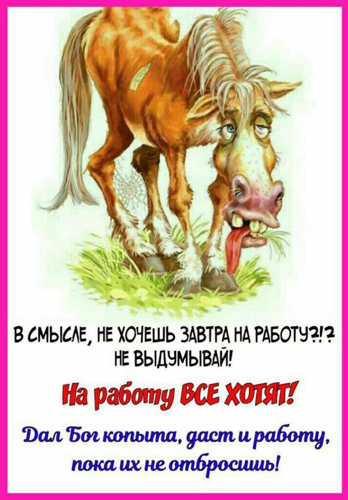 В смысле, не хочешь завтра на работу?!? Не выдумывай! На работу все хотят! Дал Бог копыта, даст и работу, пока их не отбрасышь!