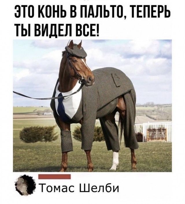 ЭТО КОНЬ В ПАЛЬТО, ТЕПЕРЬ ТЫ ВИДЕЛ ВСЕ! Томас Шелби