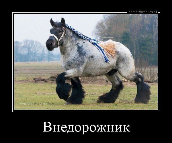 Внедорожник