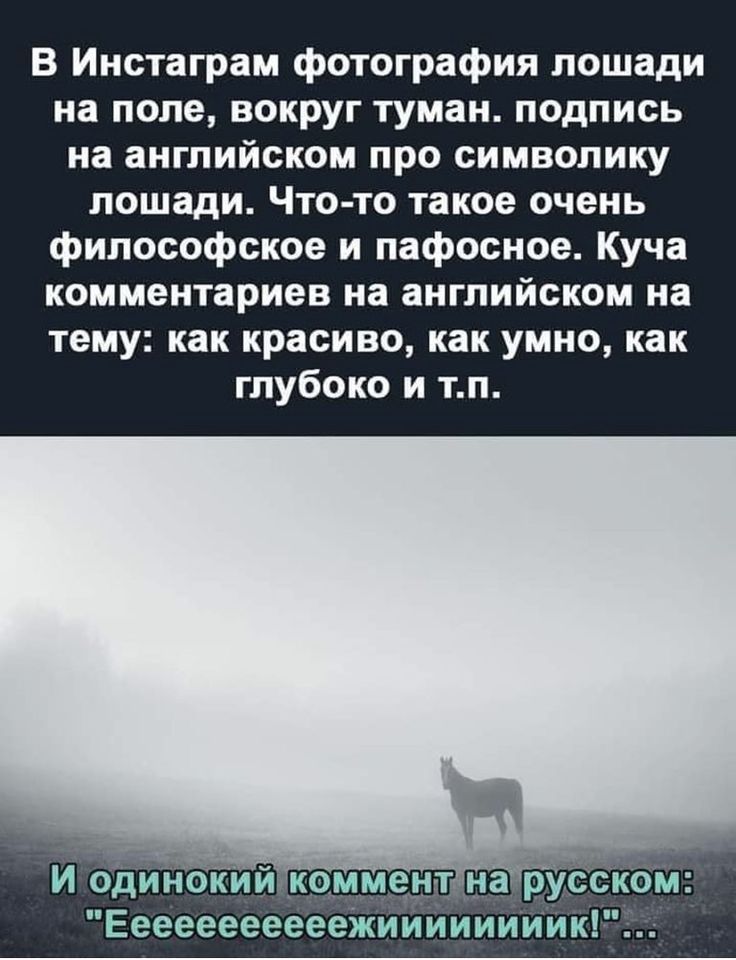 В Инстаграм photographa лошади на поле, вокруг туман. подпись на английском про символику лошади. Что-то такое очень философское и пафосное. Куча комментариев на английском на тему: как красиво, как умно, как глубоко и т.п.\nИ одинокий комментар на русском: 