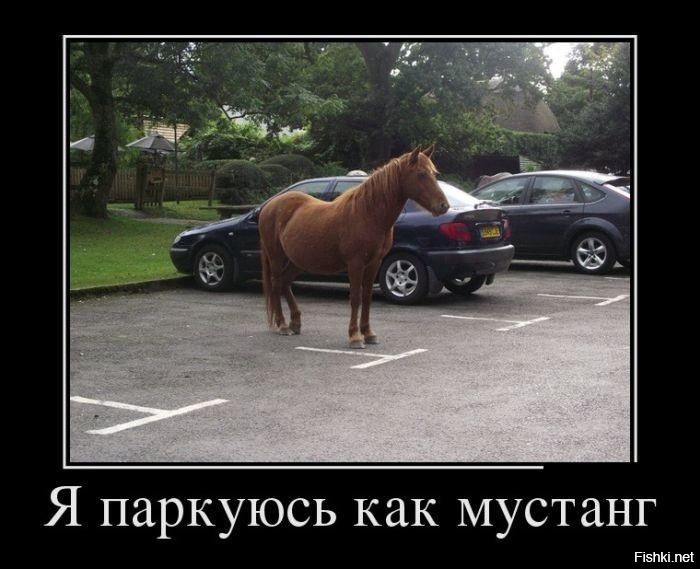 Я паркуюсь как мустанг