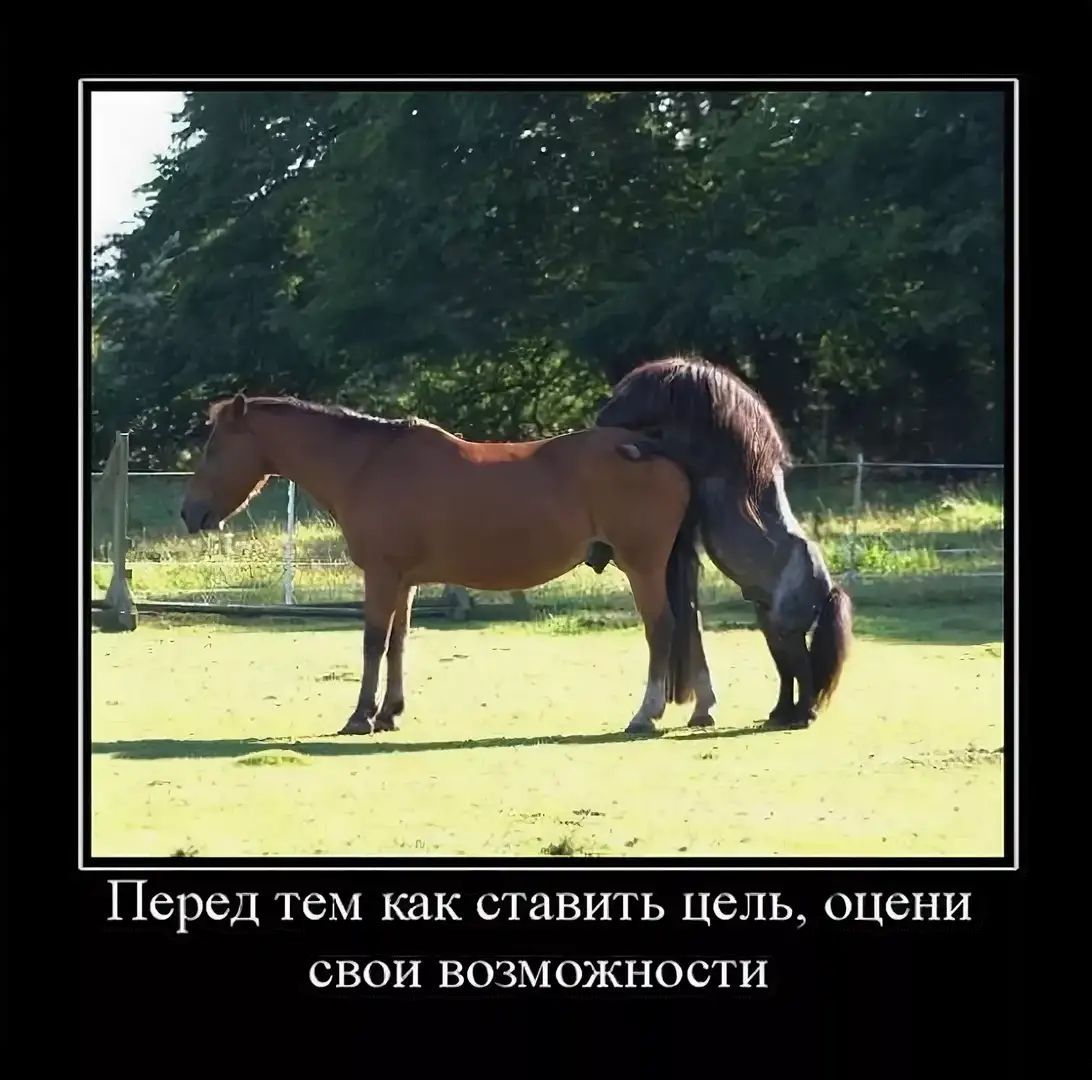 Перед тем как ставить цель, оцени свои возможности