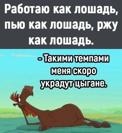 Работаю как лошадь, пью как лошадь, ржу как лошадь. -Таккими темпами меня скоро украдут цыгане.