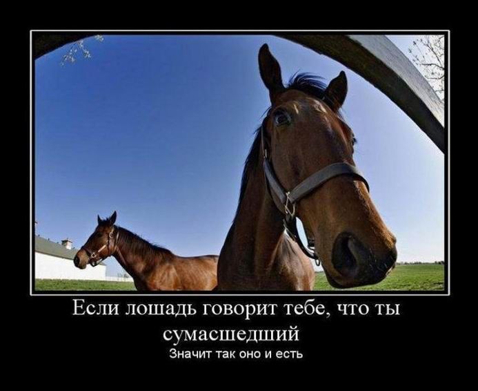 Если лошадь говорит тебе, что ты сумасшедший
Значит так оно и есть