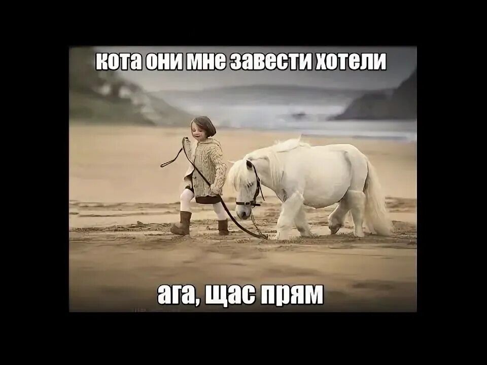 котa они мне завести хотели ага, щас прям