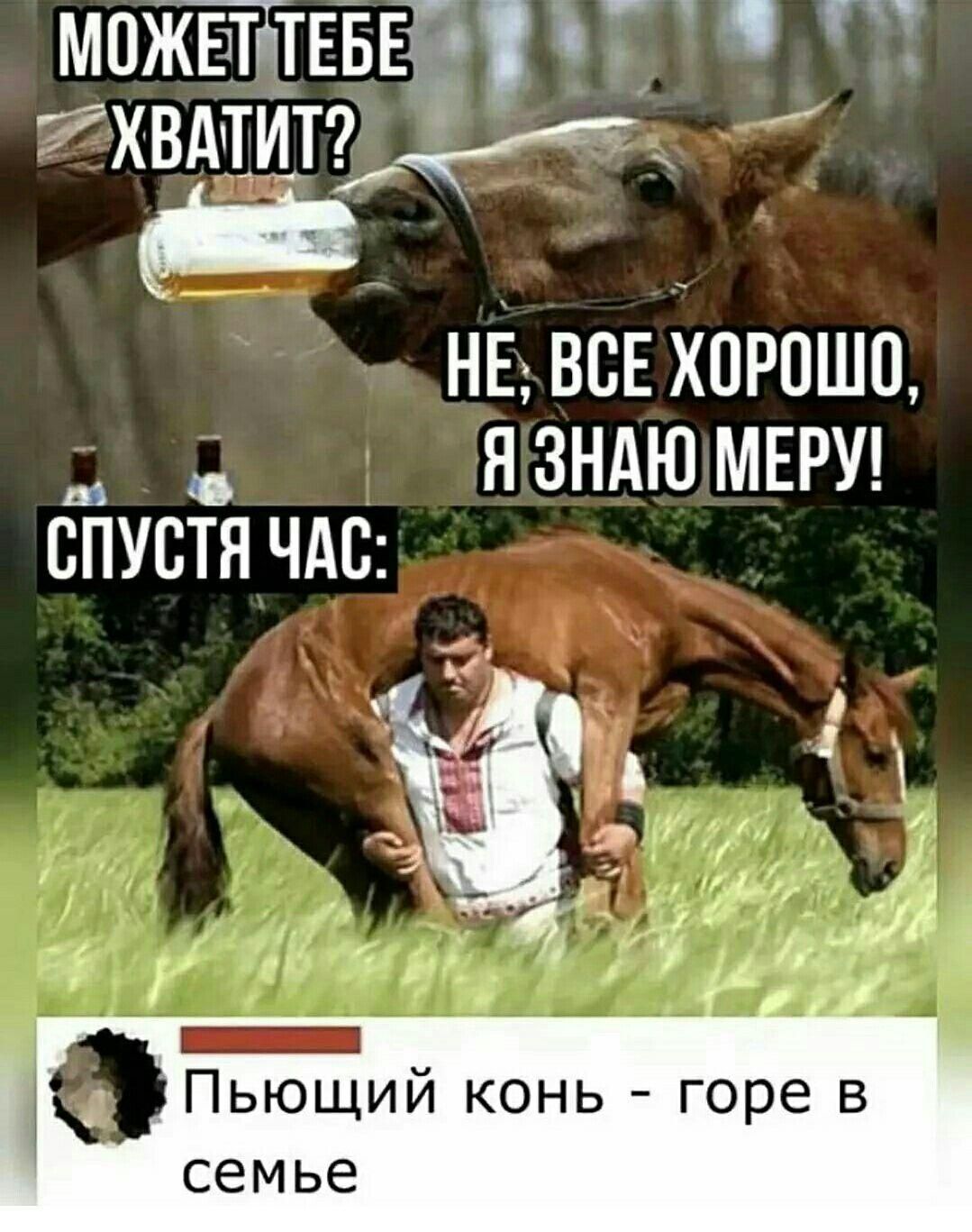 МОЖЕТ ТЕБЕ ХВАТИТ? НЕ, ВСЕ ХОРОШО, Я ЗНАЮ МЕРУ! СПУСТЯ ЧАС: ПЬЮЩИЙ КОНЬ - ГОРЕ В СЕМЬЕ