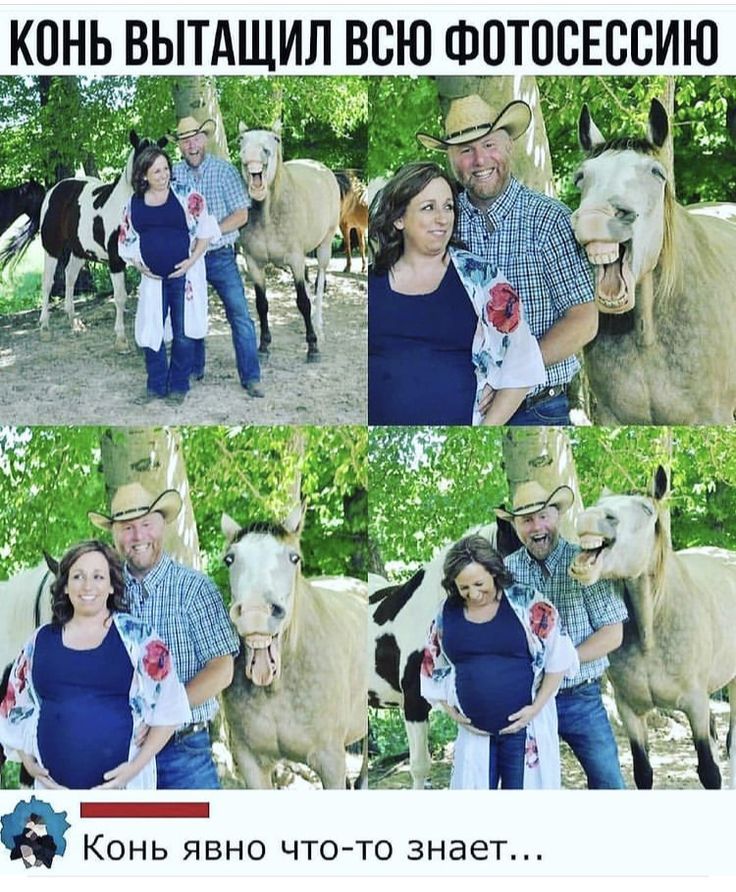 КОНЬ ВЫТАЩИЛ ВСЮ ФОТОСЕССИЮ Конь явно что-то знает...