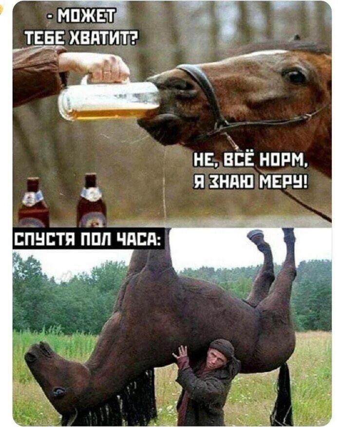 - МОЖЕТ ТЕБЕ ХВАТИТ? Не, всё норм, я знаю меру! СПУСТЯ ПОЛ ЧАСА: