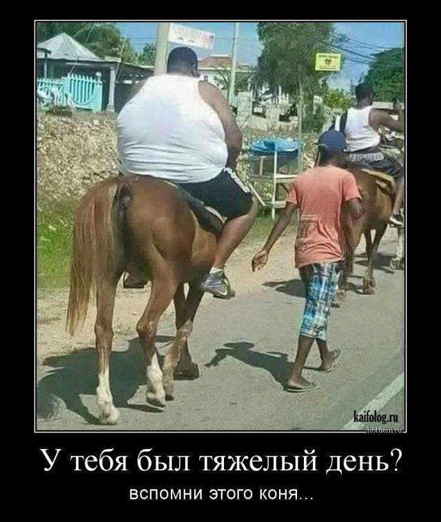 У тебя был тяжелый день? Вспомни этого коня...