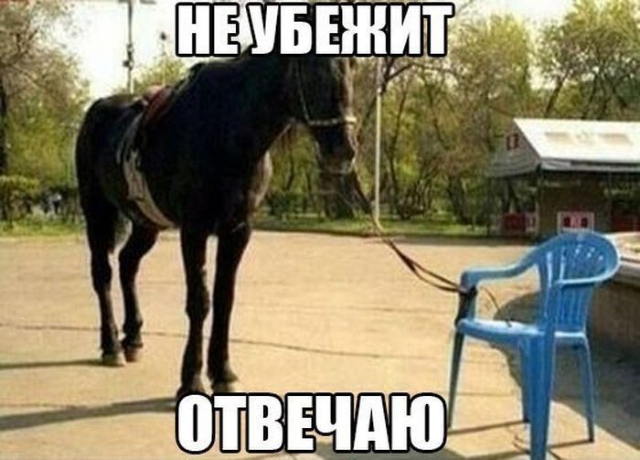 НЕ УБЕЖИТ ОТВЕЧАЮ