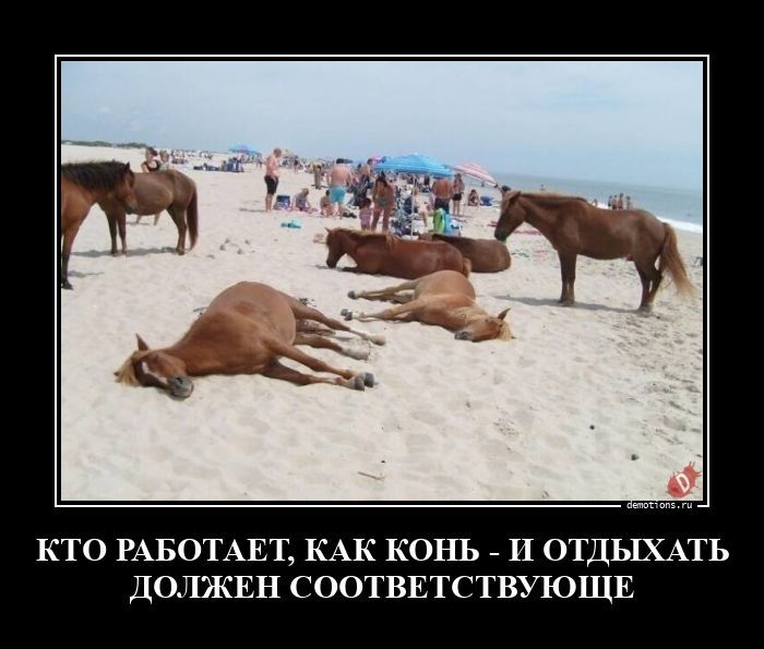 КТО РАБОТАЕТ, КАК КОНЬ - И ОТДЫХАТЬ ДОЛЖЕН СООТВЕТСТВУЮЩИЕ