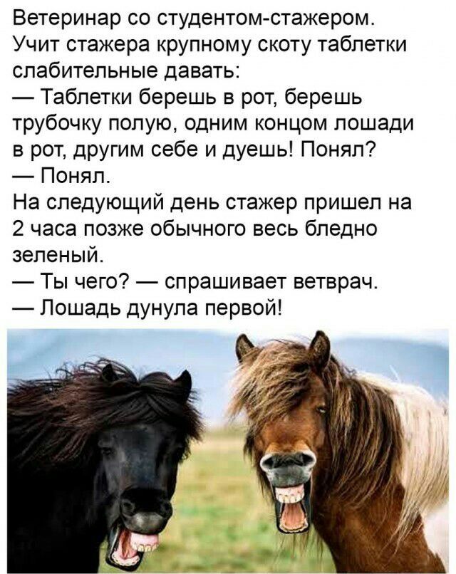 Ветеринар со студентом-стажером. Учит стажера крупному скоту таблетки слабительные давать: — Таблетки берешь в рот, берешь трубочку полую, одним концом лошади в рот, другим себе и душешь! Понял? — Понял. На следующий день стажер пришёл на 2 часа позже обычного весь бледно-зеленый. — Ты чего? — спрашивает ветврач. — Лошадь дунула первой!