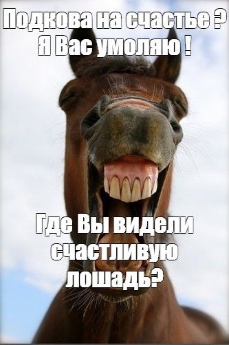 Подкова на счастье? Я вас умоляю! Где вы видели счастливую лошадь?