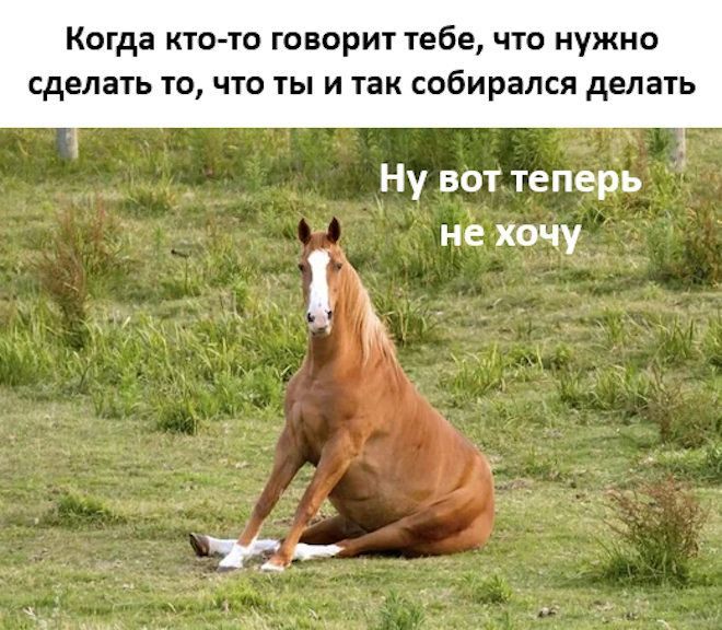 Когда кто-то говорит тебе, что нужно сделать то, что ты и так собирался делать
Ну вот теперь не хочу