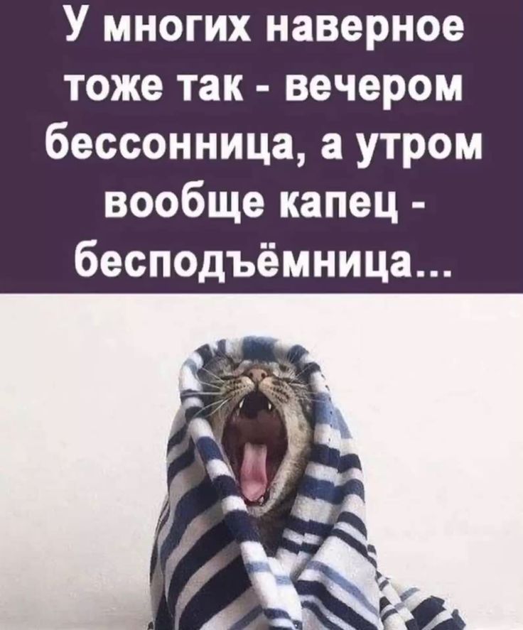 У многих наверное тоже так - вечером бессонница, а утром вовсе капец - бесподёмница...