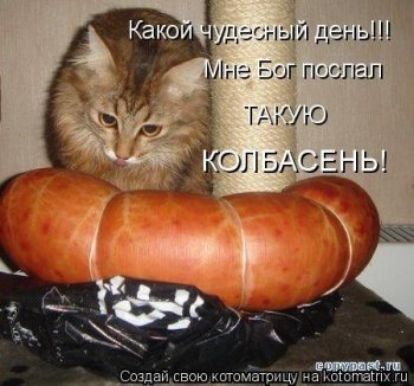 Какой чудесный день!!! Мне Бог послал ТАКУЮ КОЛБАСЕНЬ!