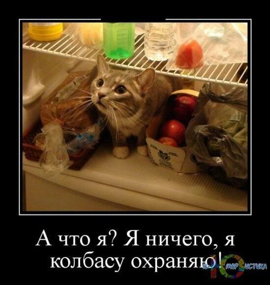 А что я? Я ничего, я колбасу охраняю!