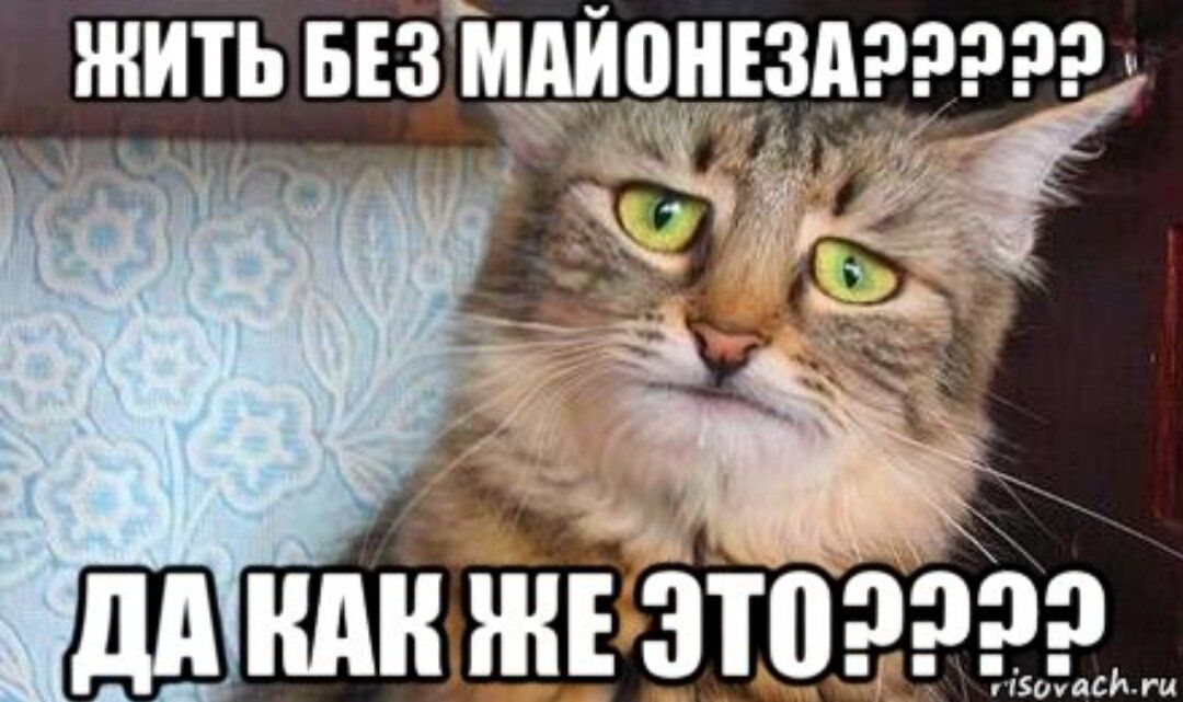 ЖИТЬ БЕЗ МАЙОНЕЗА????? ДА КАК ЖЕ ЭТО?????