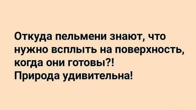 Откуда пельмени знают, что нужно всплыть на поверхность, когда они готовы?! Природа удивительна!