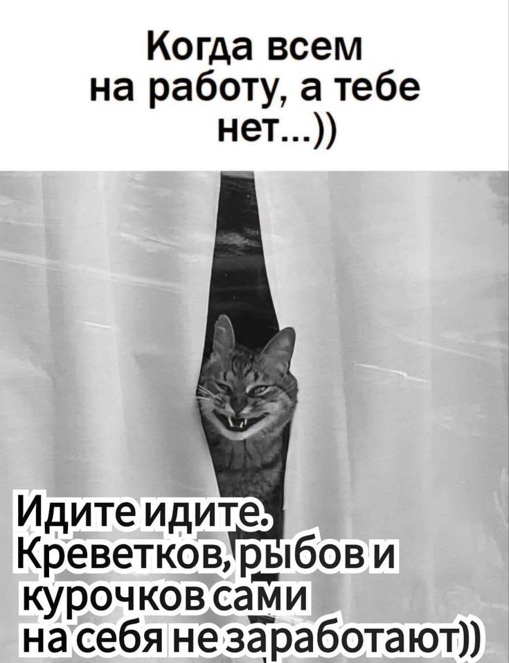Когда всем на работу, а тебе нет...)) Идите идите. Креветков, рыбов и курочек сами на себя не зарабатывают))