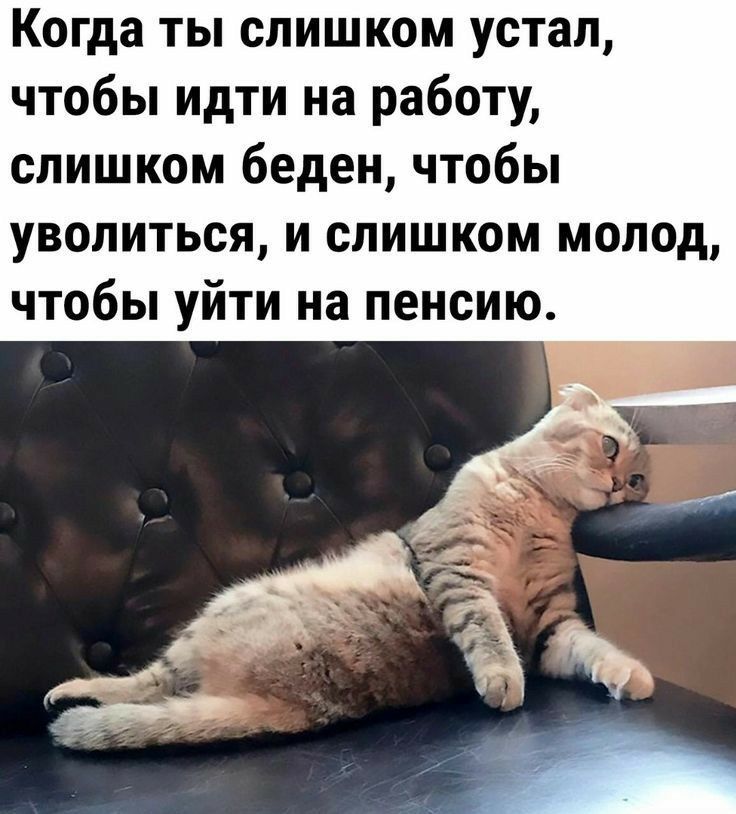 Когда ты слишком устал, чтобы идти на работу, слишком беден, чтобы уволиться, и слишком молод, чтобы уйти на пенсию.