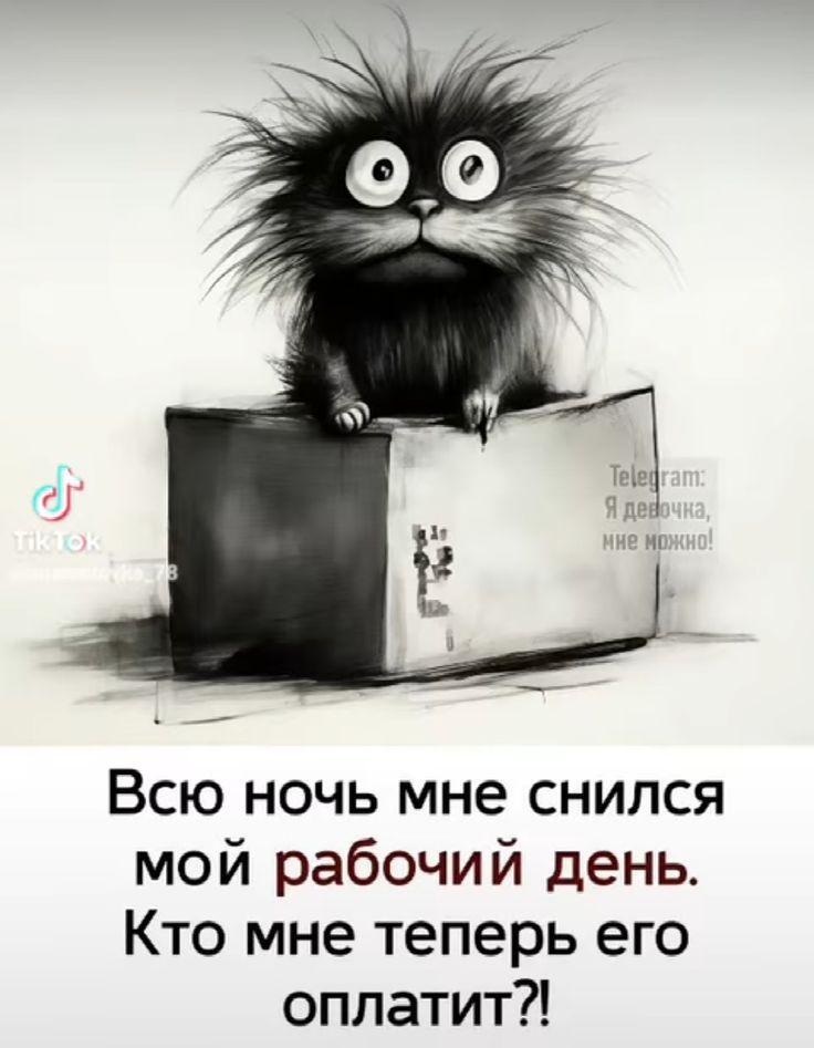 Всю ночь мне снился мой рабочий день. Кто мне теперь его оплатит?!