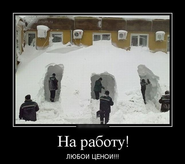 На работу! ЛЮБОЙ ЦЕНОЙ!!!
