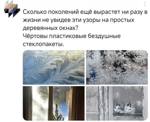 Сколько поколений ещё вырастет ни разу в жизни не увидев эти узоры на простых деревянных окнах? Чёртовы пластиковые бездушные стеклопакеты.