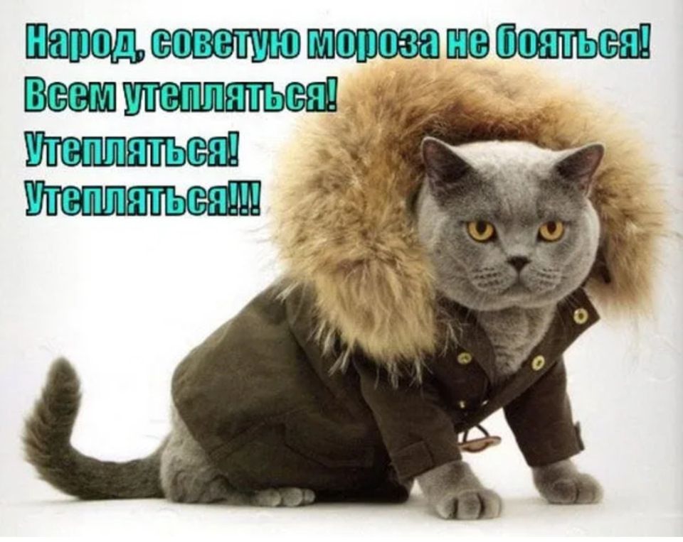 Народ, советую морозам не бояться! Всем утепляйтесь! Утепляйтесь! Утепляйтесь!!!