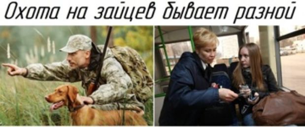 Охота на зайцев бывает разной
