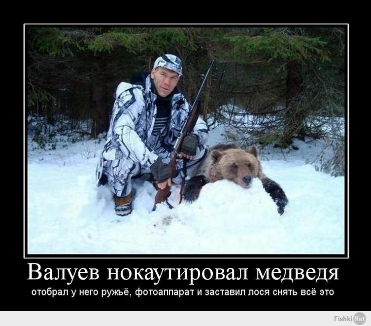 Валуев нокаутировал медведя отобрал у него ружьё, фотоаппарат и заставил лося снять всё это