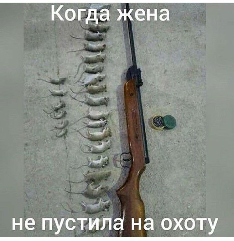 Когда жена не пустила на охоту