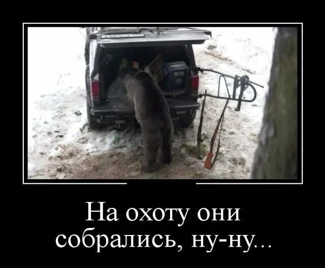 На охоту они собрались, ну-ну...