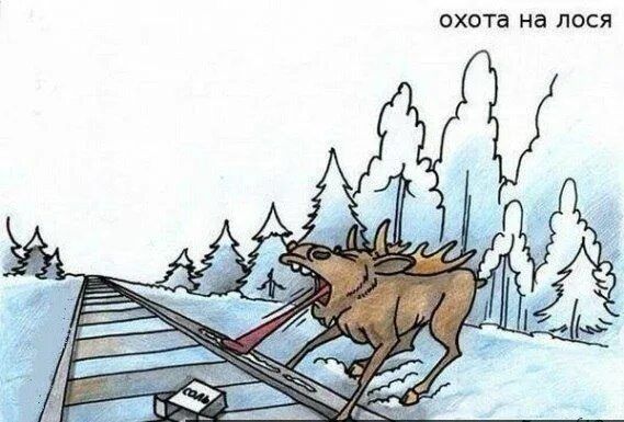 охота на лося