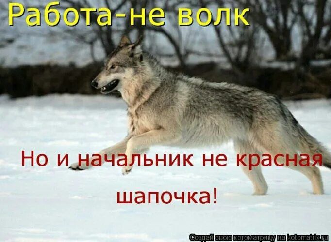 Работа - не волк Но и начальник не красная шапочка!