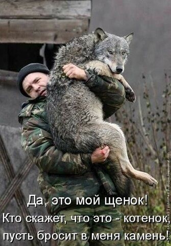 Да, это мой щенок! Кто скажет, что это - котенок, пусть бросит в меня камень!