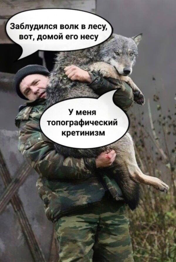 Заблудился волк в лесу, вот, домой его несу. У меня топографический кретинизм
