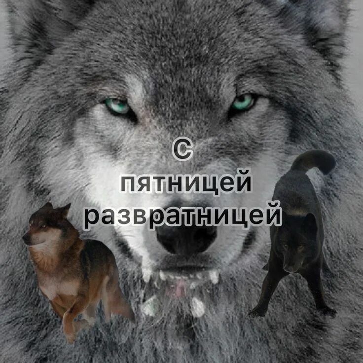 С пятницей разгратницей