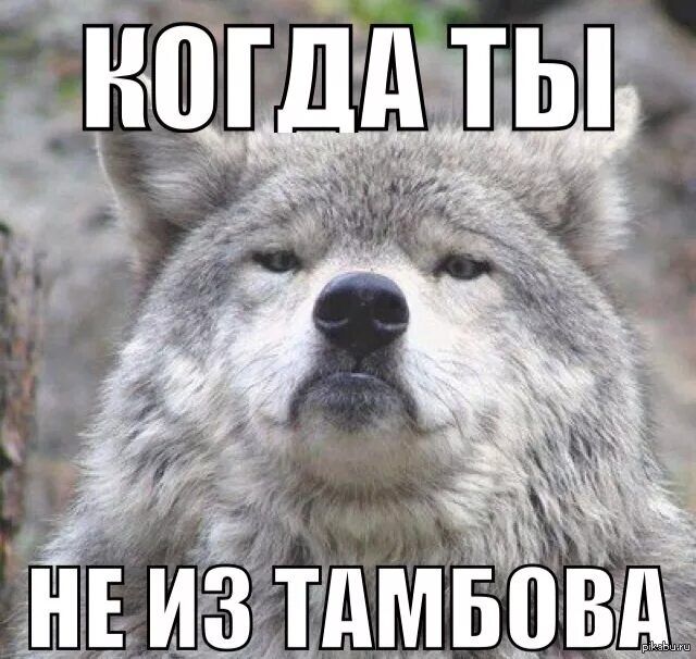 КОГДА ТЫ НЕ ИЗ ТАМБОВА