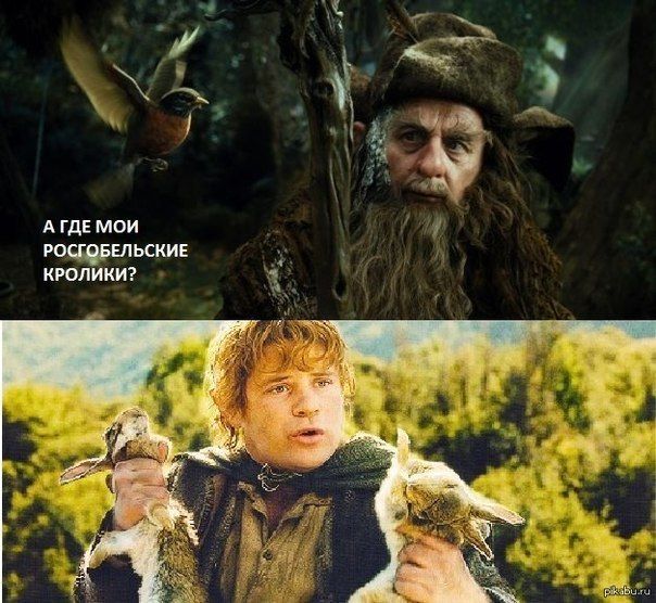 А ГДЕ МОИ РОСГОБЕЛЬСКИЕ КРОЛИКИ?