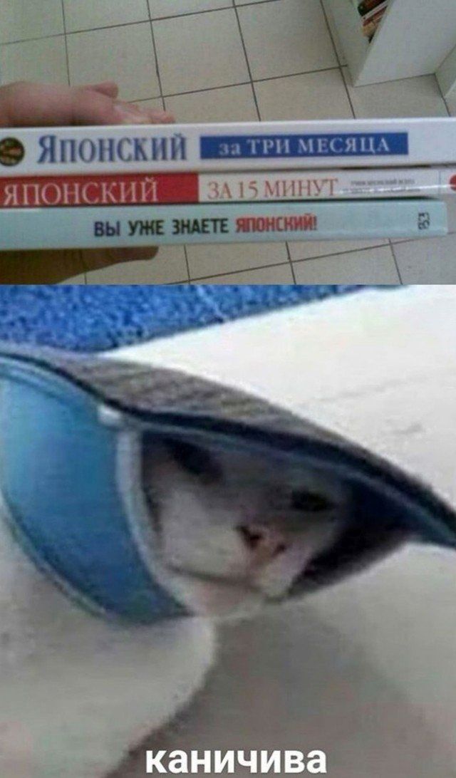 ЯПОНСКИЙ за ТРИ МЕСЯЦА / ЯПОНСКИЙ ЗА 15 МИНУТ / ВЫ УМЕЗАЕТЕ ЯПОНСКИЙ! / каничива