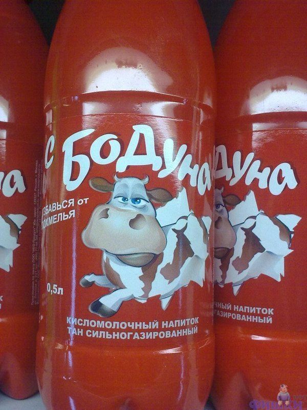 Бодуна — кислoмолочный напиток с сильногазированным вкусом. Видна красная бутылка с рисунком коровы.