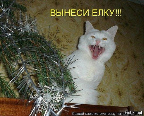 ВЫНЕСИ ЁЛКУ!!!